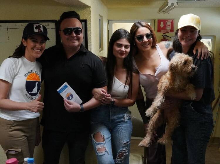 Deja tu huella con Barefoot Vino y haz que perros sin hogar tengan una familia