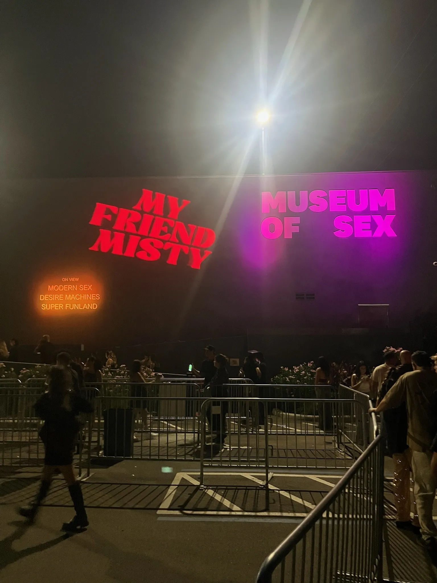My Friend Misty at the Museum of Sex in Miami