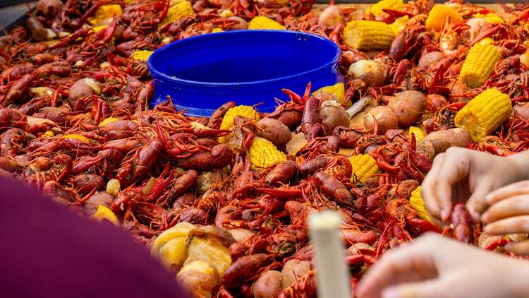 Crawfish Crawfish