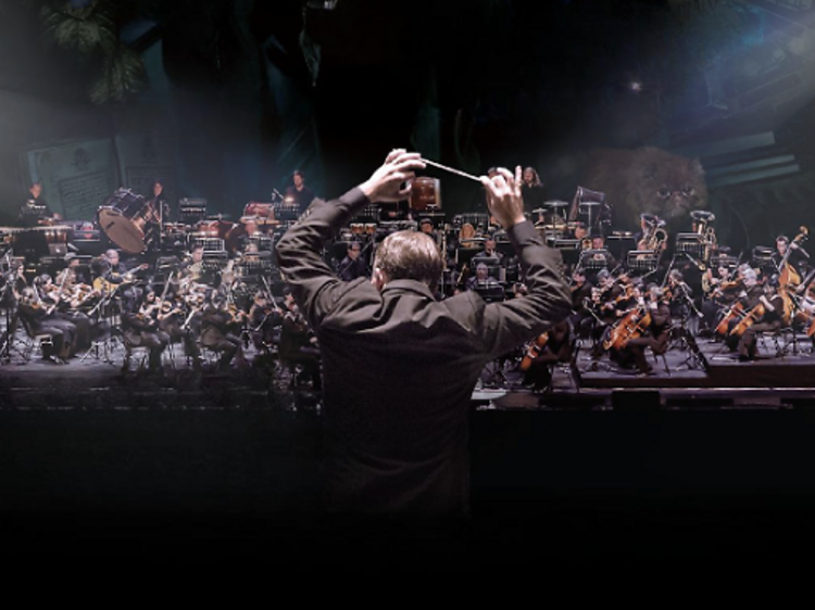 Hear the magic: Harry Potter and the Prisoner of Azkaban in concert