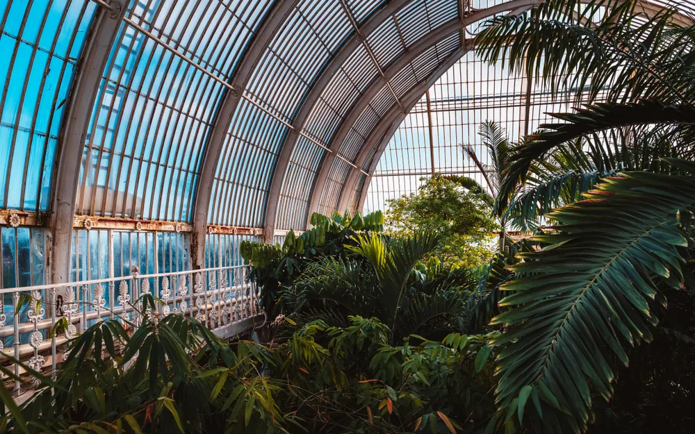 Palm House, Kew Gardens