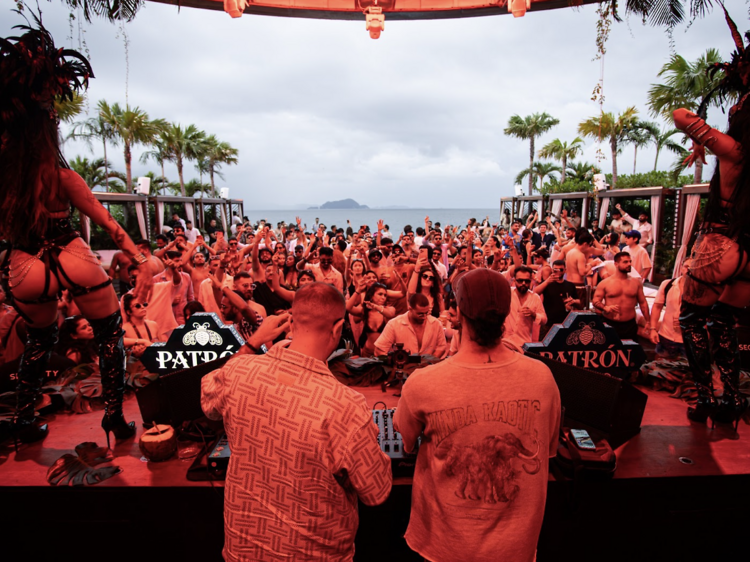 Tribe Returns Tribe Returns