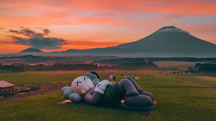 KAWS at NYBG