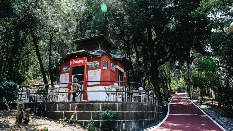 Parque Silva Porto