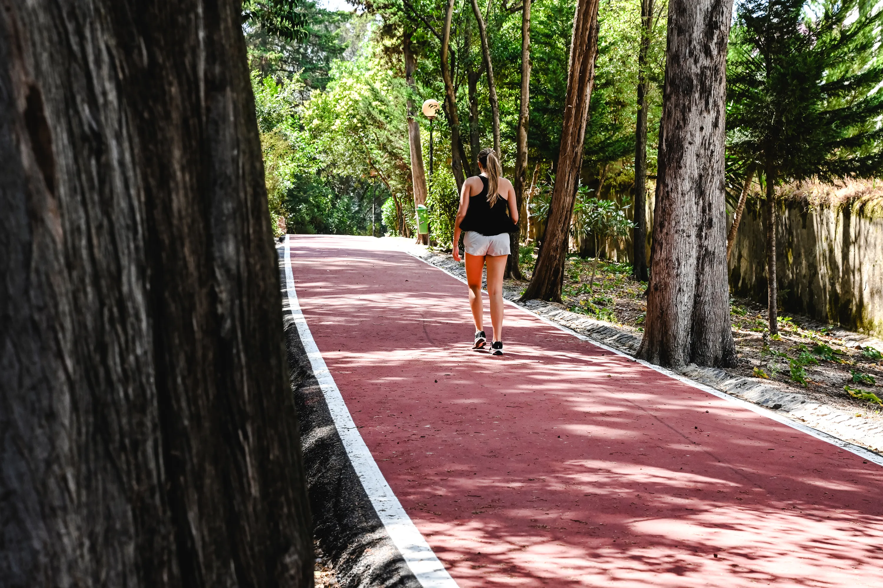 Parque Silva Porto