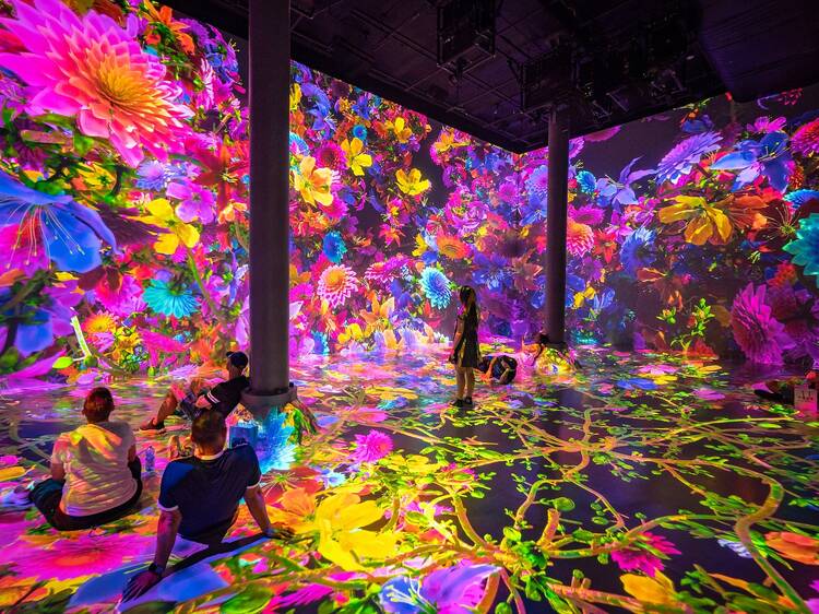 An immersive floral fantasy has taken over ARTECHOUSE in Chelsea An immersive floral fantasy has taken over ARTECHOUSE in Chelsea