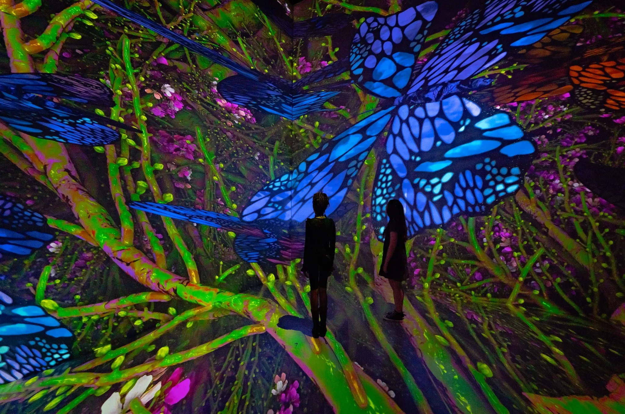 Two people standing in a colorful art display with butterflies and tree branches
