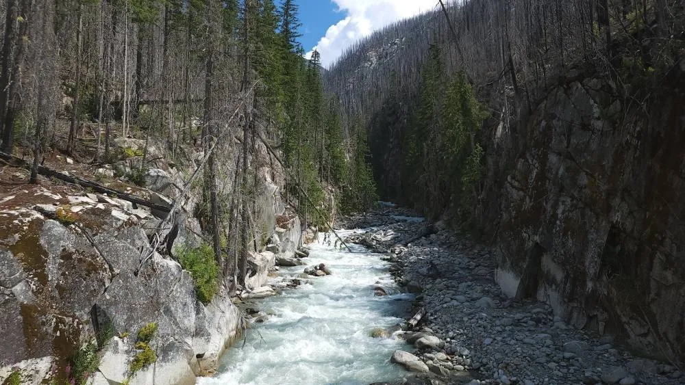 Cheakamus River