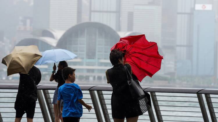 Hong Kong typhoon weather