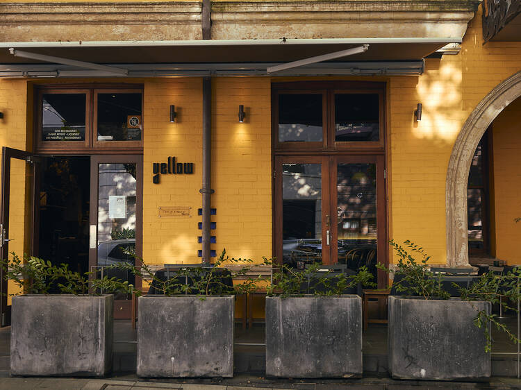 Yellow, Sydney