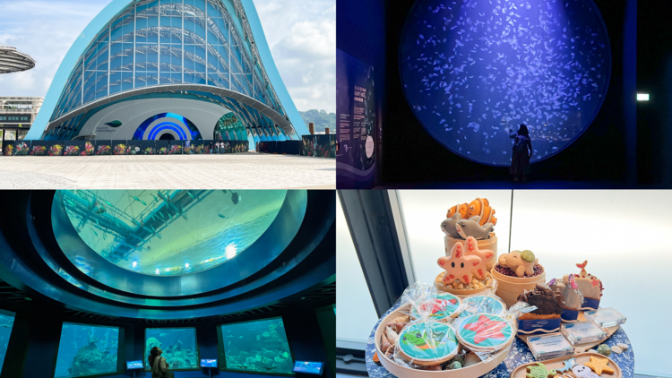 Singapore Oceanarium