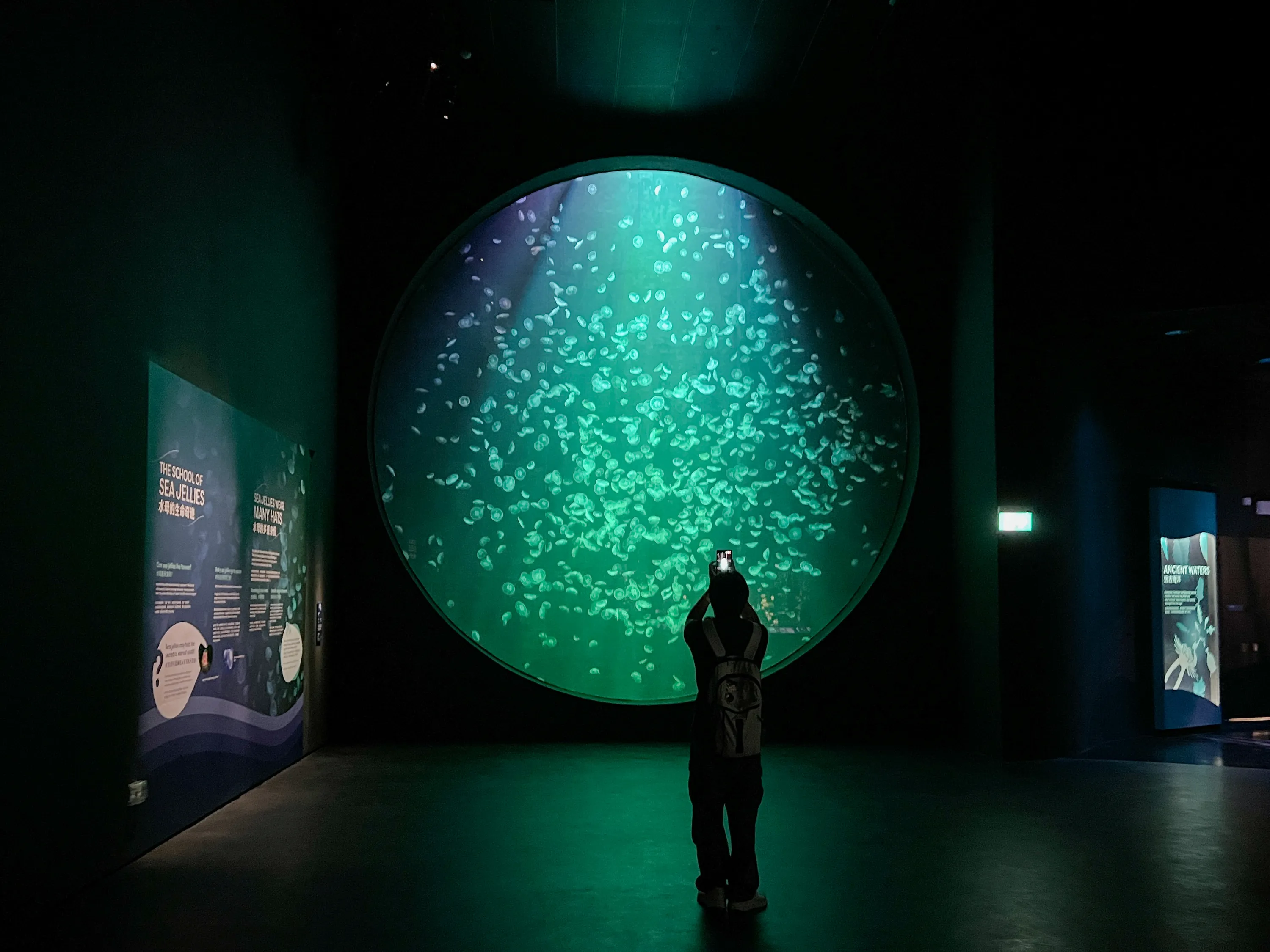 Singapore Oceanarium