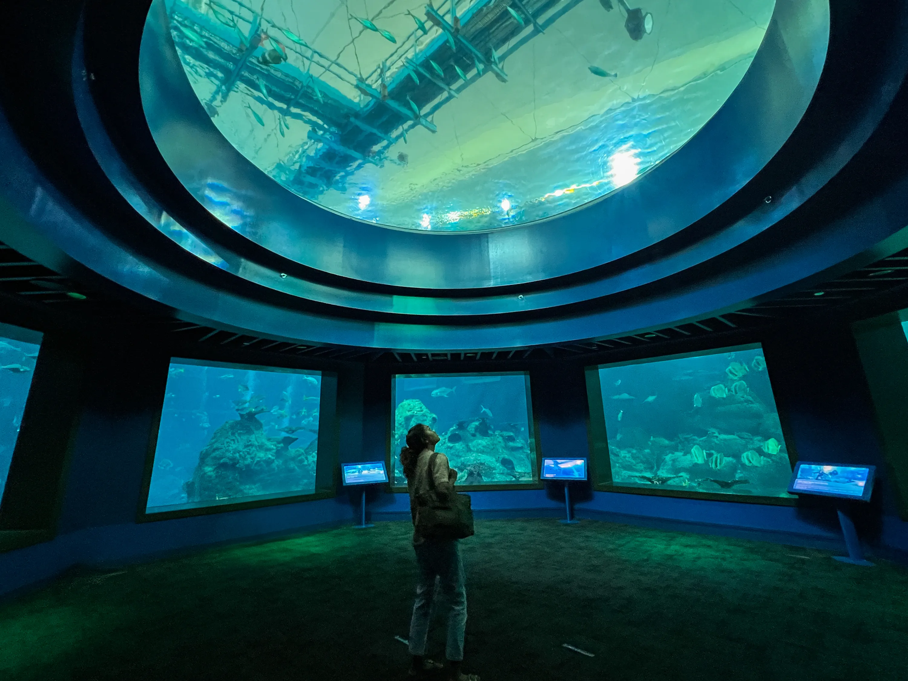 Singapore Oceanarium