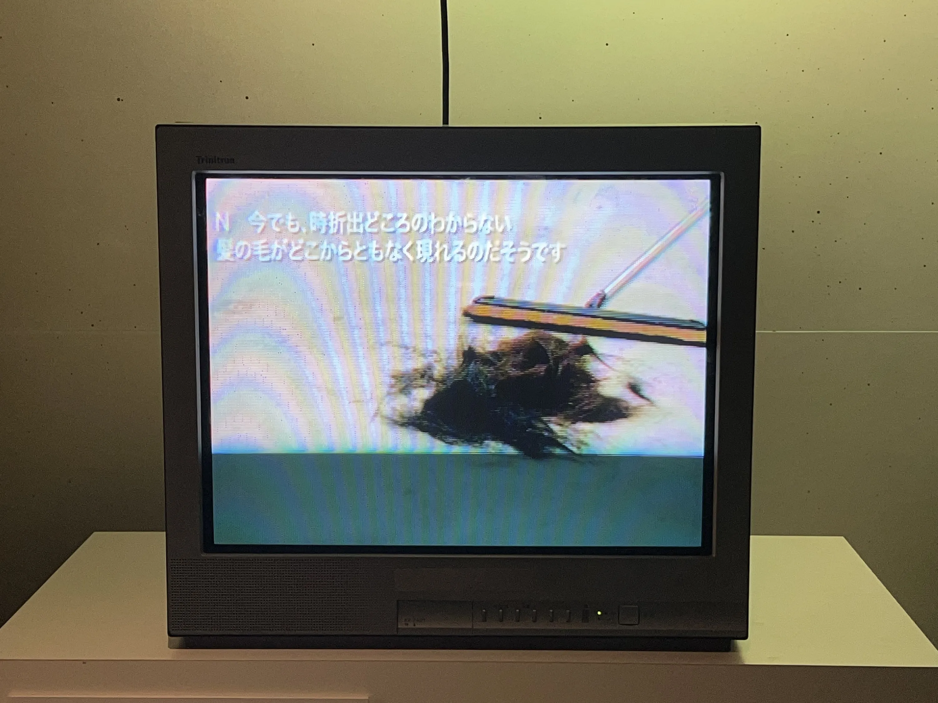 恐怖心展