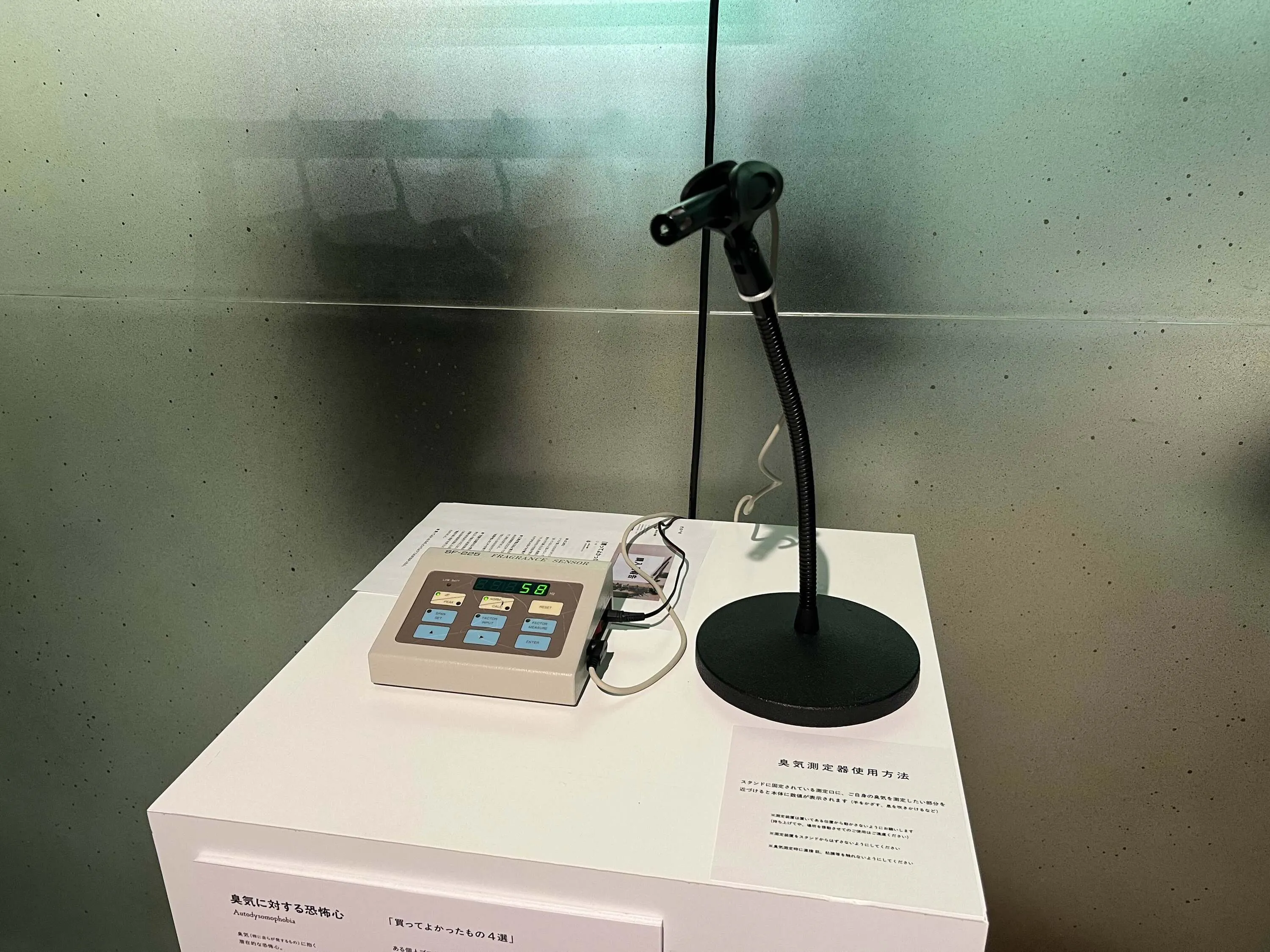 恐怖心展