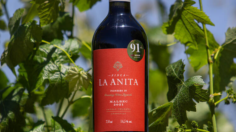 Malbec de Finca La Anita Malbec de Finca La Anita