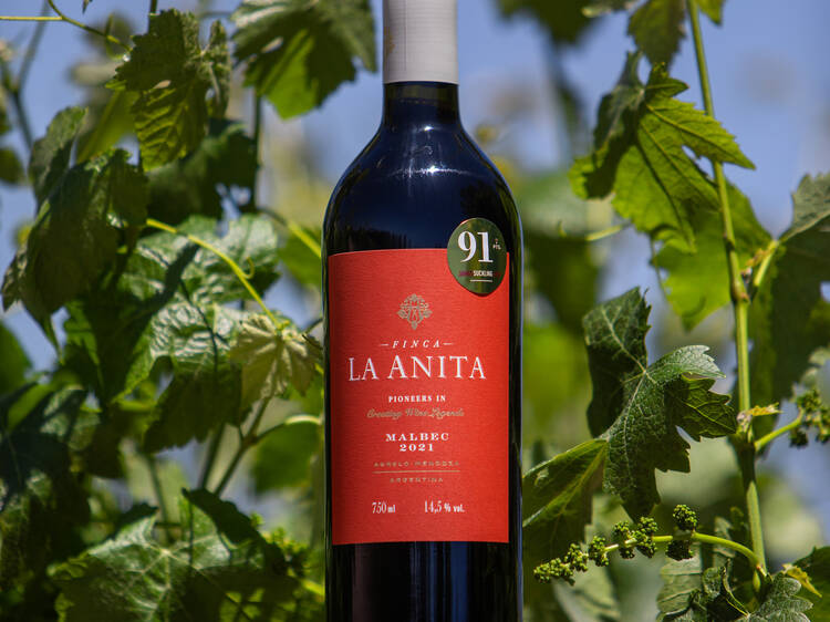 Malbec de Finca La Anita Malbec de Finca La Anita