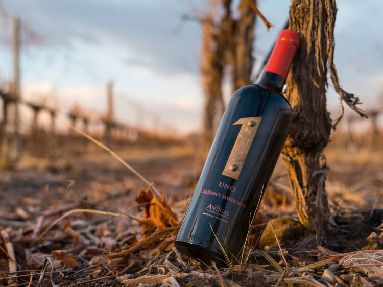 Uno Cabernet Sauvignon de Antigal Winery & Estate
