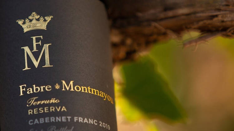 Terruño Reserva Cabernet Franc de Bodega Fabre Montmayou