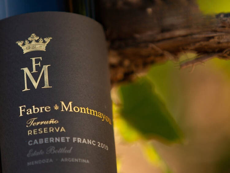 Terruño Reserva Cabernet Franc de Bodega Fabre Montmayou
