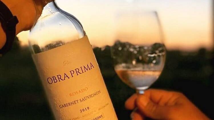 Obra Prima Rosado de Bodega Familia Cassone