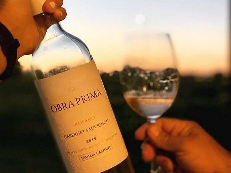 Obra Prima Rosado de Bodega Familia Cassone