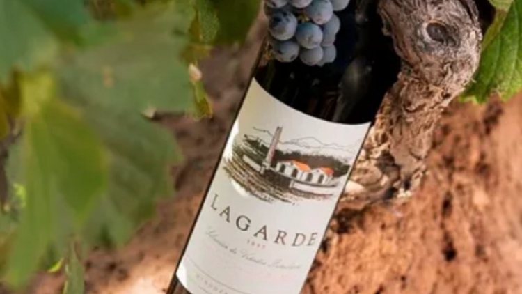 Lagarde Merlot 2021 de Bodega Lagarde