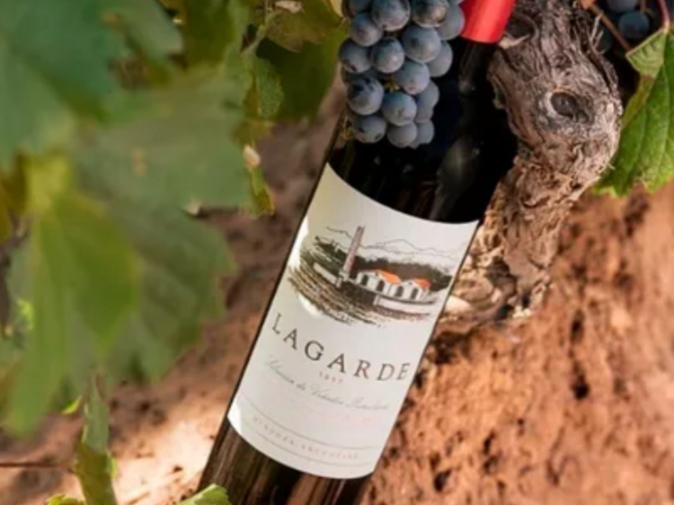 Lagarde Merlot 2021 de Bodega Lagarde