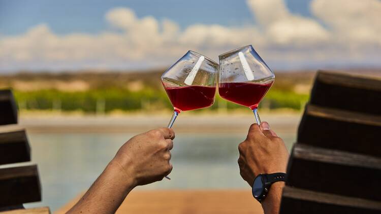 10 vinos por menos de 20 mil pesos