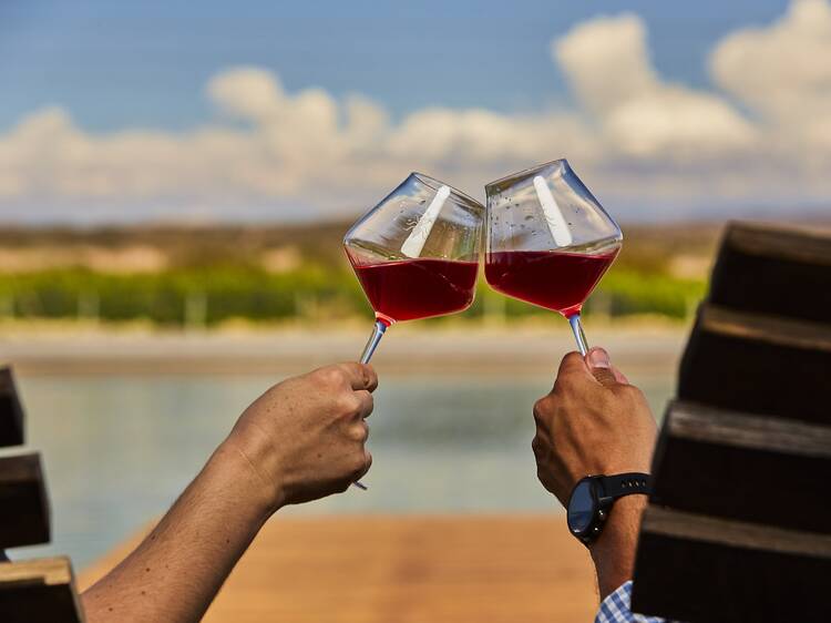 10 vinos por menos de 20 mil pesos