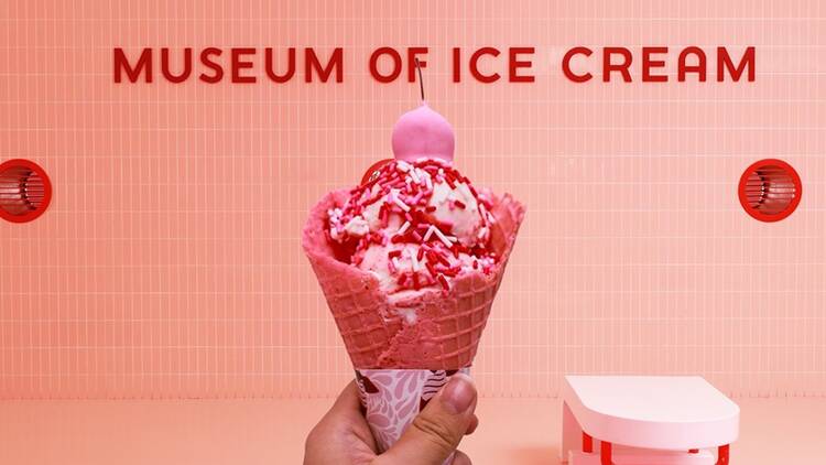 Museum of Ice Cream