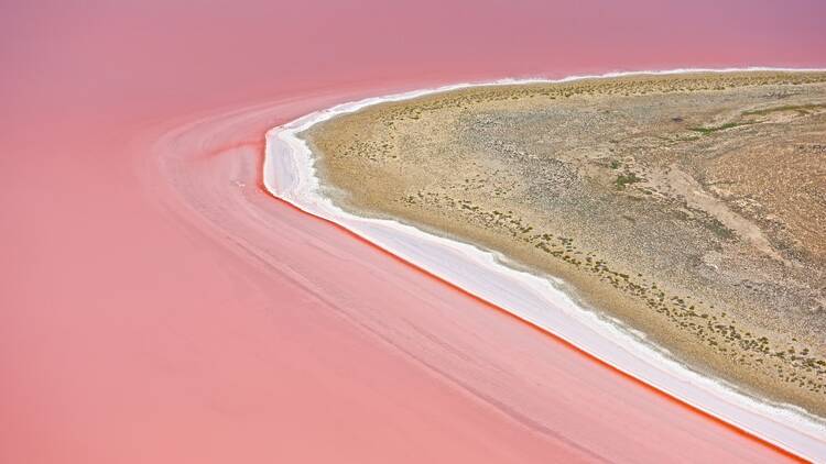 Aerial view of pink lake