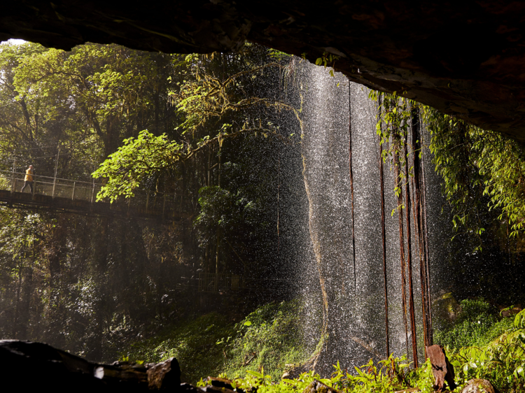This heritage-listed national park in NSW will take you on a journey back in time