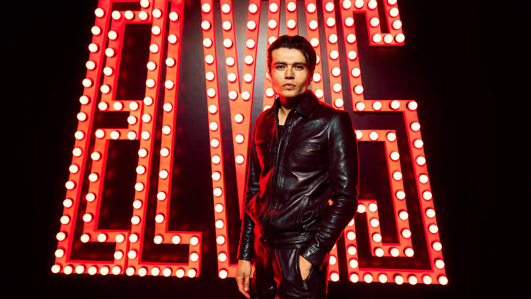 Snake Elvis
