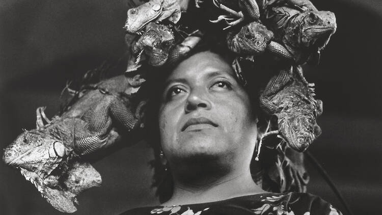 Cuando habla la luz. Graciela Iturbide