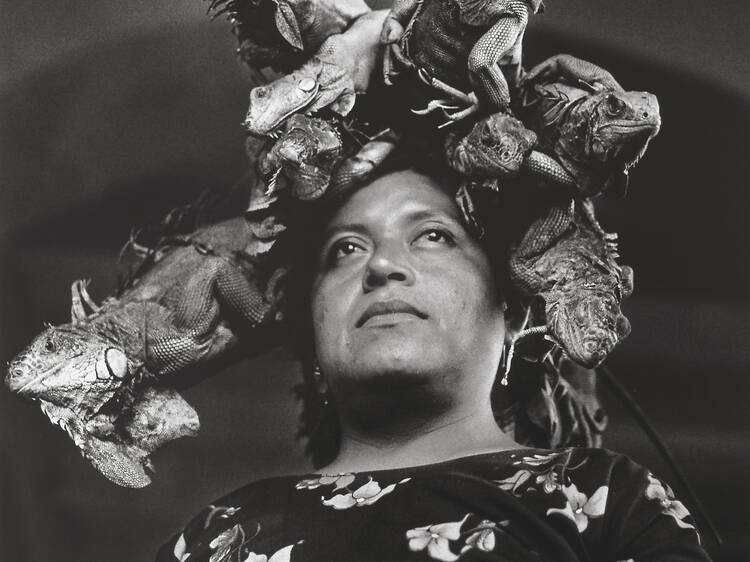 Cuando habla la luz. Graciela Iturbide