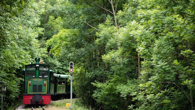 3. Tren del Cemento