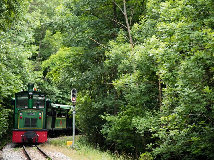 3. Tren del Cemento