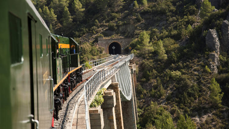 4. Tren de los Lagos