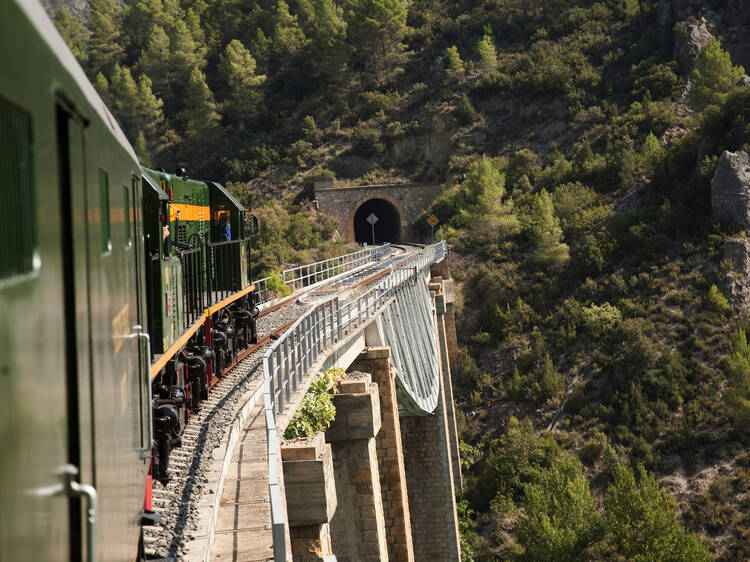 4. Tren de los Lagos