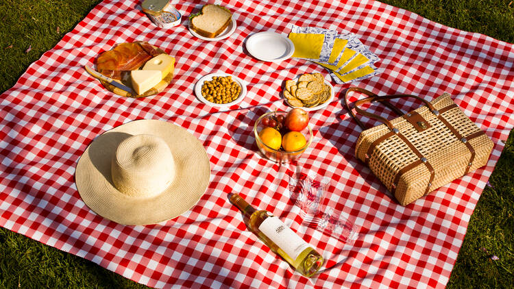 Picnic en Chapultepec Picnic en Chapultepec