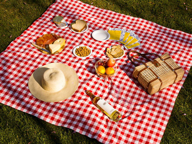 Picnic en Chapultepec Picnic en Chapultepec