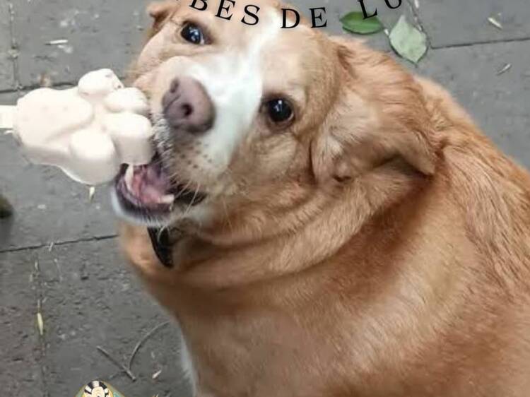 Heladería Escandón