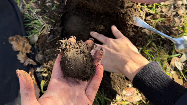 Truffle hunting at Robertson Truffles