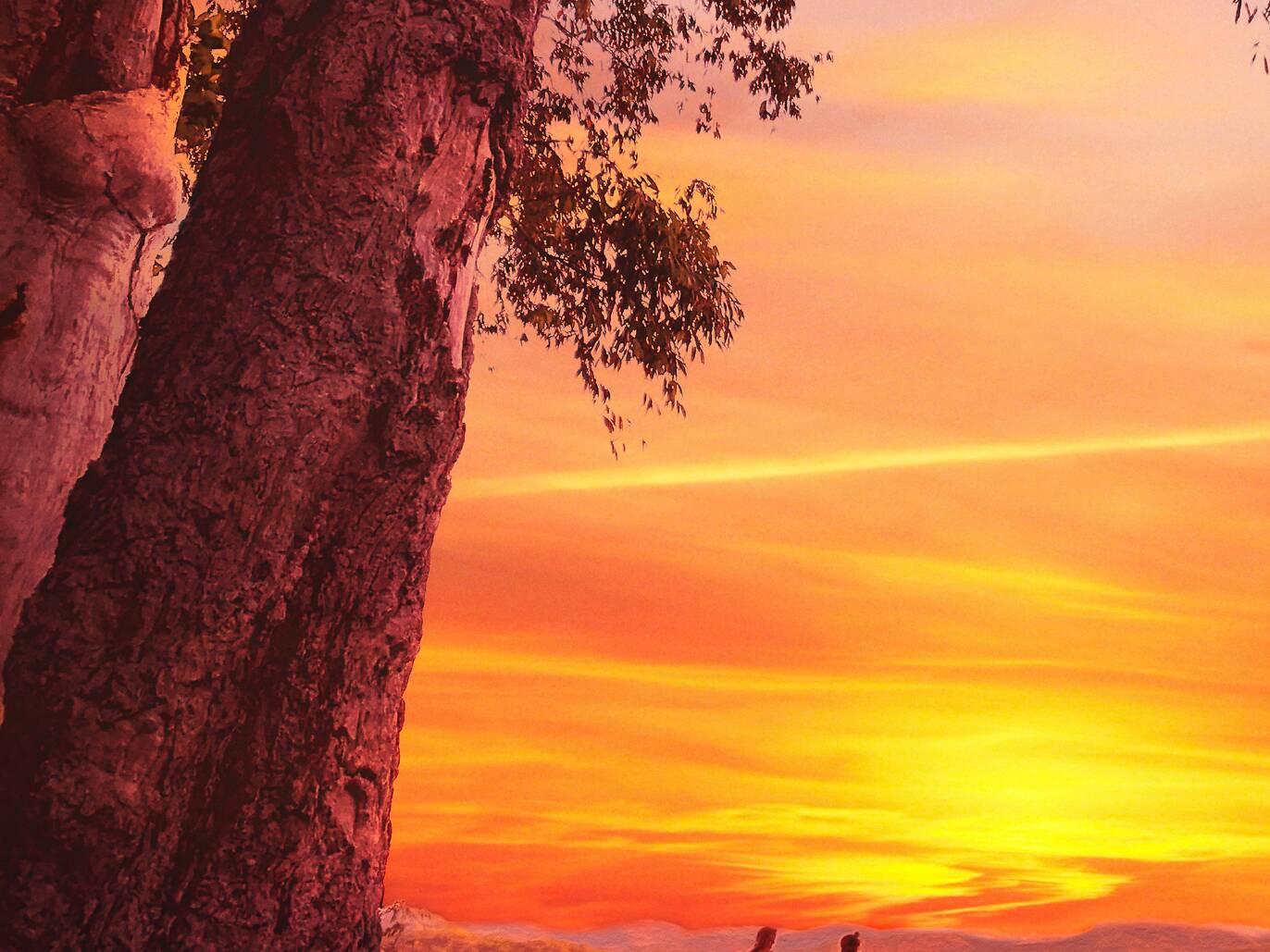 Australia Travel | Travel Tips, News and Inspiration from Time Out’s ...
