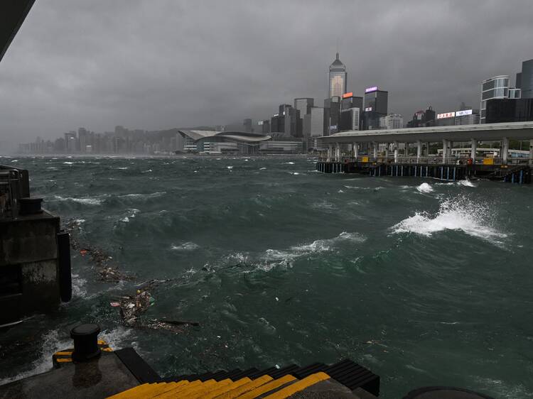 Typhoon Wipha, 2025 Typhoon Wipha, 2025