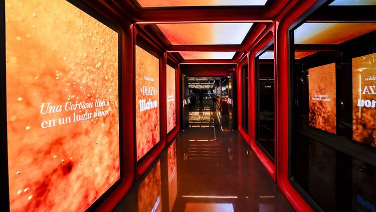 El paraíso dentro de un estadio