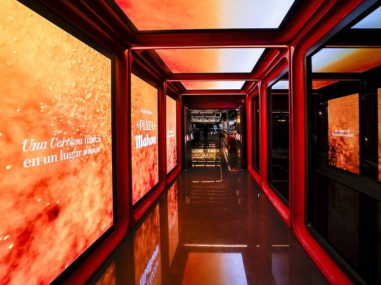 El paraíso dentro de un estadio