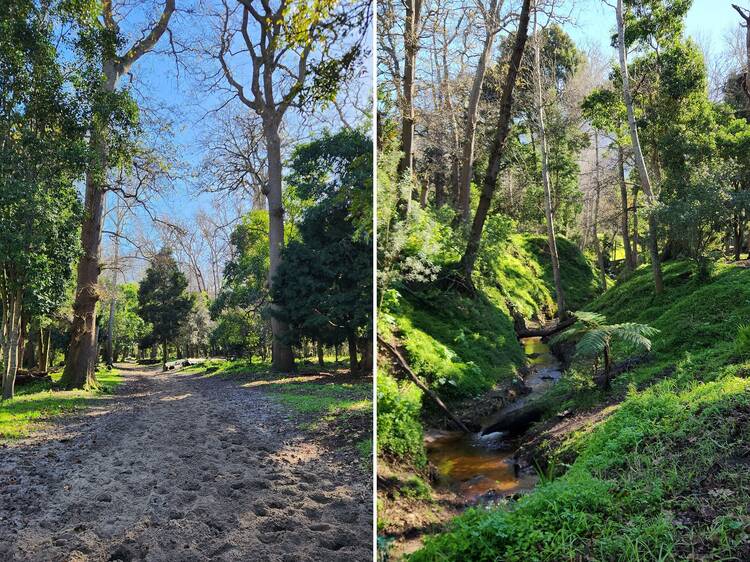 Klaasenbosch Trail