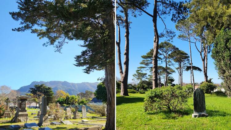 Constantia Cemetery
